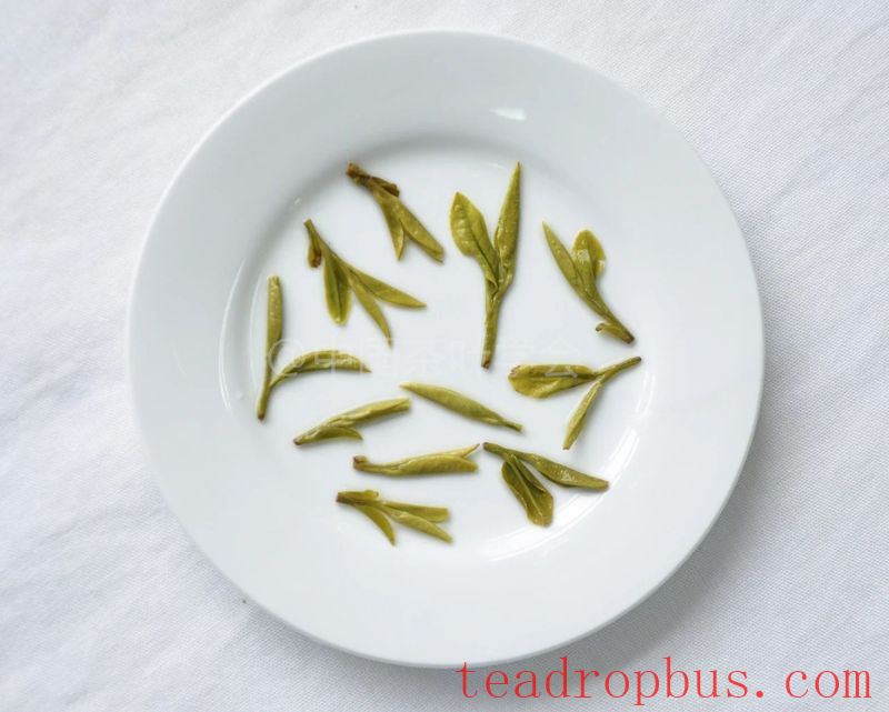 Intangible Cultural Heritage of Humanity: Traditional Chinese Tea Processing Skills - Green Tea Chapter ① – West Lake Longjing-16