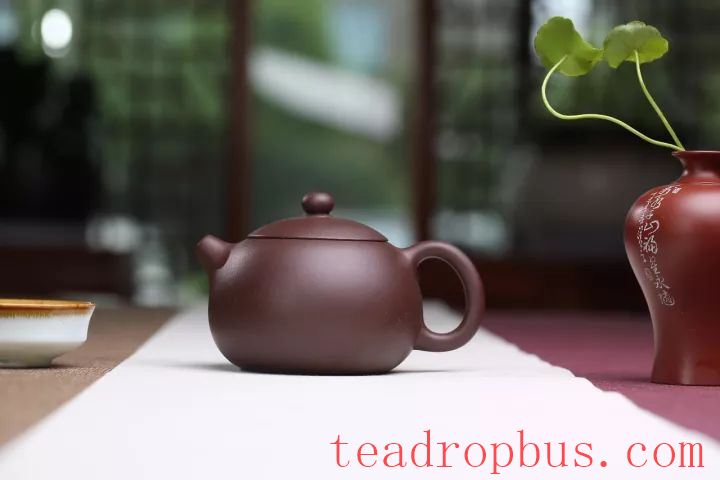 Does faster drying of a purple clay teapot after watering indicate better quality clay?-2