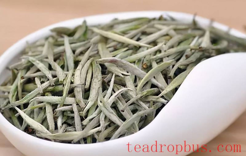 Brewing Techniques for Silver Needle White Tea-1