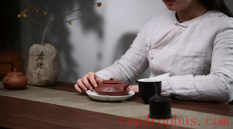 Nurturing a Zisha Teapot Should Not Pursue Speed; Unhealthy Use Can Be Extremely Harmful!-1
