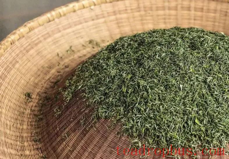 What is the temperature for drying green tea?-1