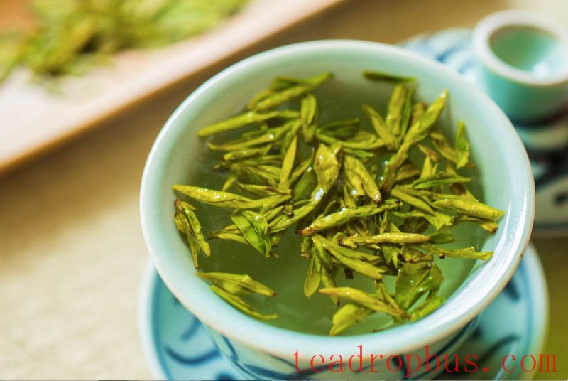 With Over 60 Years of Research, He Offers Seven Key Tips and Four Principles for Drinking Tea-5