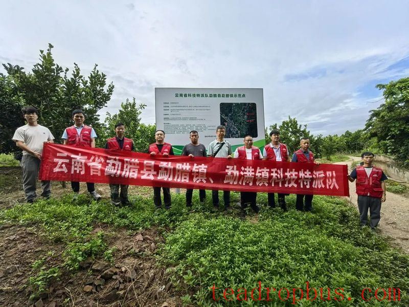 Yunnan Tea Research Institute's Special Team Provides Technology Services in Border Villages-1