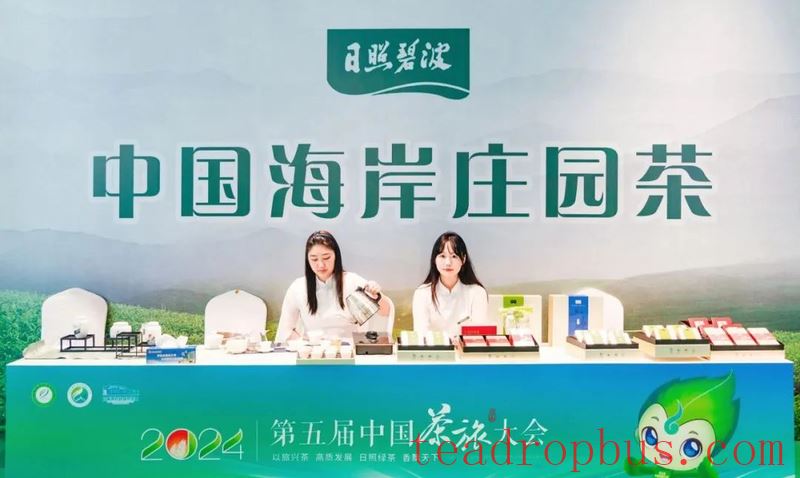 Northern Debut! China Tea Tourism Conference Heads to Rizhao Port, Shandong-1