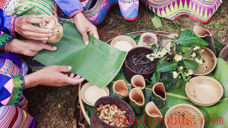 He Kai Ancient Tea Mountain: Experiencing the Natural Beauty and Legendary Charm of China's Premier Pu'er Tea Mountain-11