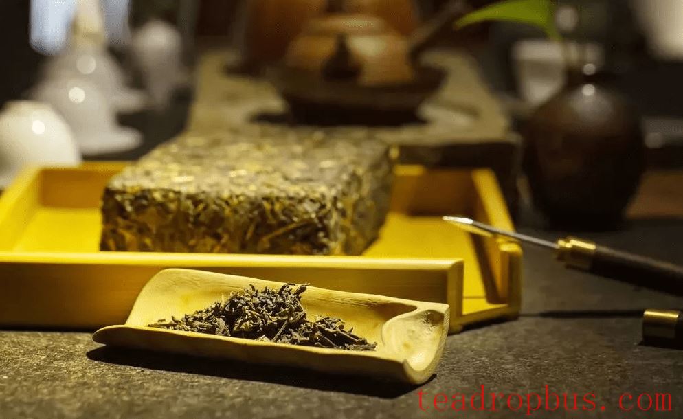 Jingyang Fu Tea Benefits and Effects-2