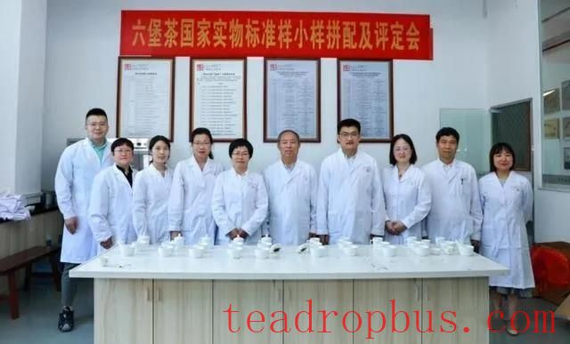 How is the Liubao Tea Flavor Wheel Created?-2