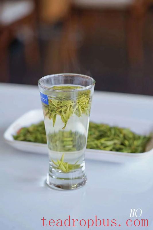 Years Undercover at the Tea Shop: I Finally Stole the Boss's Secret Tea Brewing Formula-2