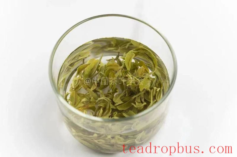 Intangible Cultural Heritage of Humanity: Traditional Chinese Tea Processing Skills - Green Tea Chapter ② —— Ju Rock Tea of Wuzhou, Purple Shoots Tea, Anji White Tea-4