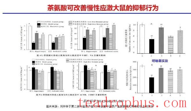 Multiple Studies: Tea Drinking Can Improve or Alleviate Mood-2