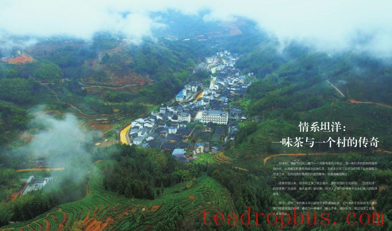 Ties with TanYang: The Legend of a Tea and a Village-1