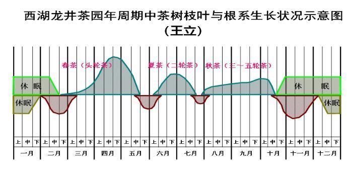 Agricultural Guidance: Applying Base Fertilizer in Autumn-1
