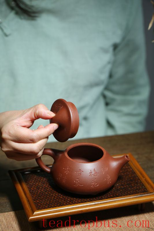 Purple Clay Q&A: Why Does My Clean Purple Clay Teapot Still Mold?-5