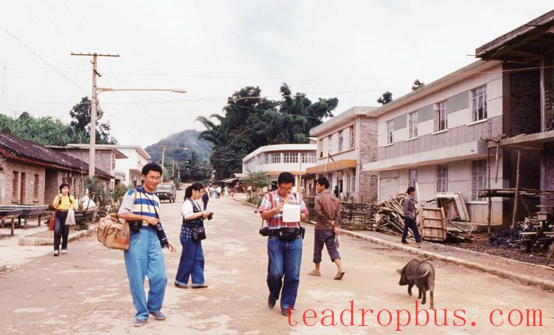 Yiwu, the Birthplace of Pu'er Tea Revival-2