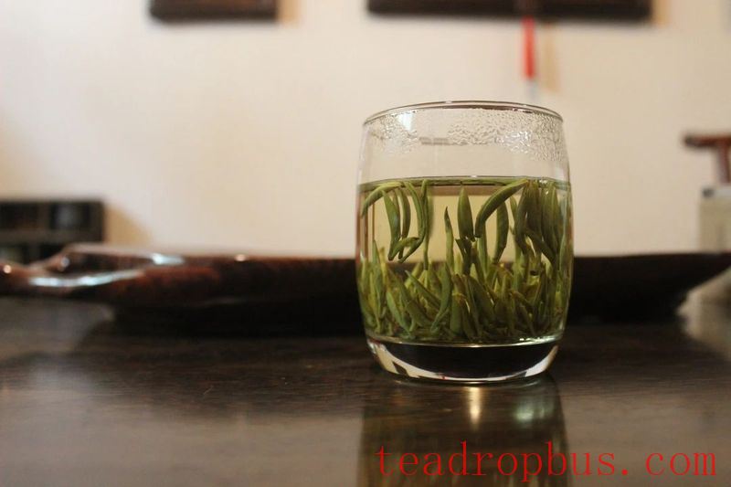 Intangible Cultural Heritage of Humanity: Traditional Chinese Tea Processing Skills - Green Tea Chapter ② —— Ju Rock Tea of Wuzhou, Purple Shoots Tea, Anji White Tea-9