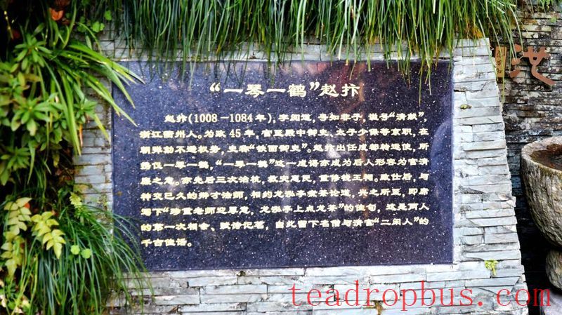 Tracing the Roots of Longjing • Inquiring about Tea at Shifeng: A Leaf from Shifeng Mountain in a Past Life, Bearing Millennia of Affection in a Cup of Tea Today-7