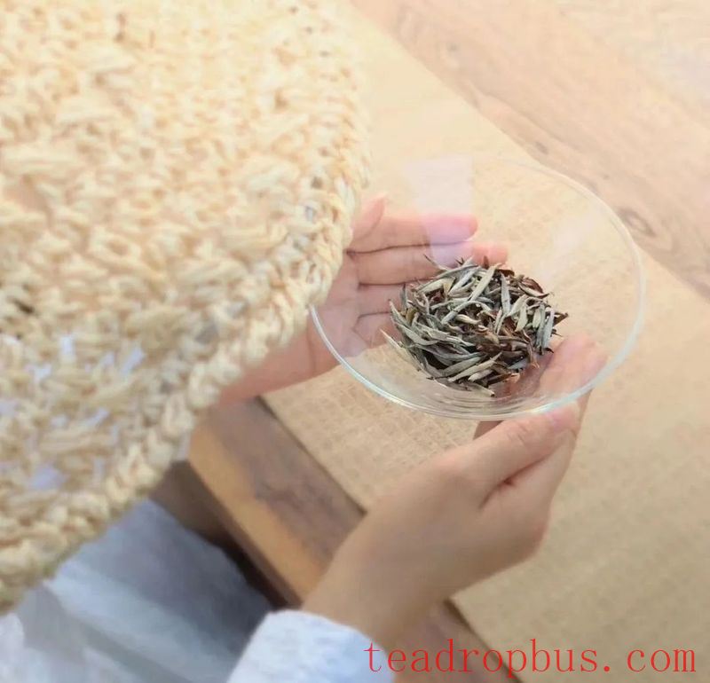 A Serene Corner, Unlocking the Wonders of Tea in Your Heart-1