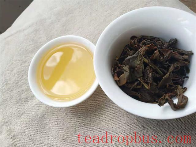The Journey of White Tea's Essence: Savoring the Unique Charm of Each Infusion-3
