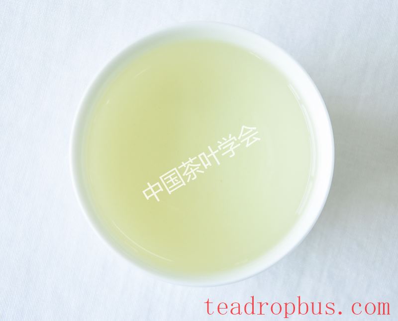 Intangible Cultural Heritage of Humanity: Traditional Chinese Tea Processing Skills - Chapter ① on Oolong Tea – Tieguanyin-10