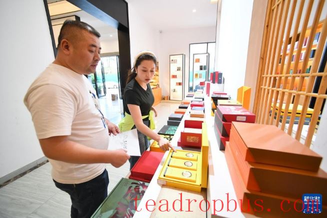 Fujian's Mountains Yield Tea Leaves, Scent Travels Thousands of Miles-7