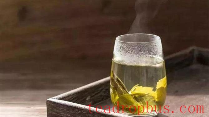 How to Brew Green Tea at the Right Temperature-3