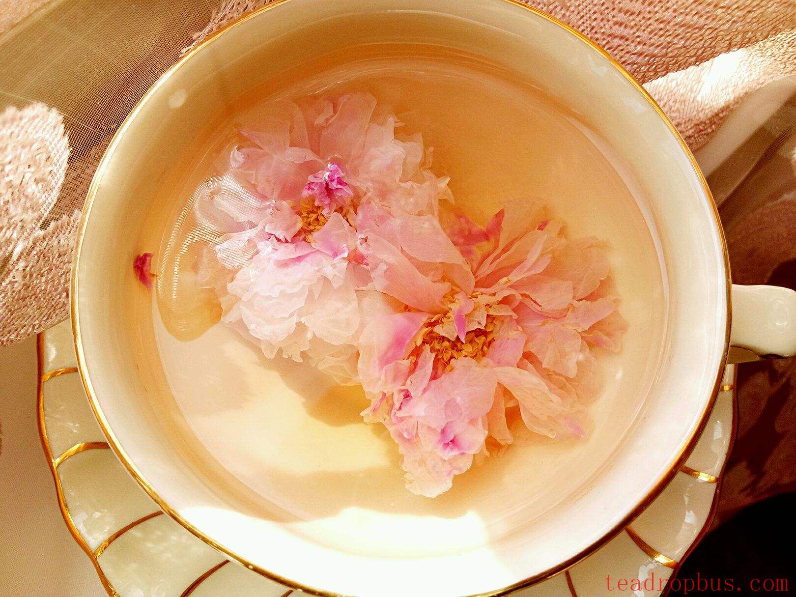 How to Brew the Perfect Cup of Rose Tea?-5