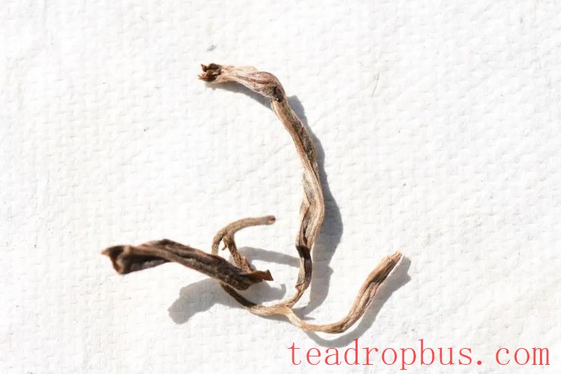 Cainong Tea: Appreciating Pu'er - The Beauty of Pu'er Tea, Part One-7