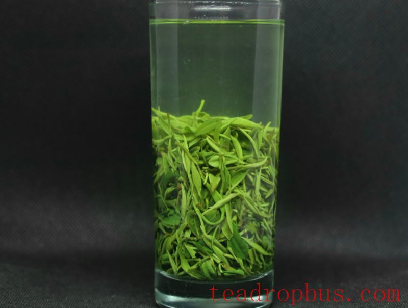 What are the processing steps for green tea? What types of green tea are there?-5