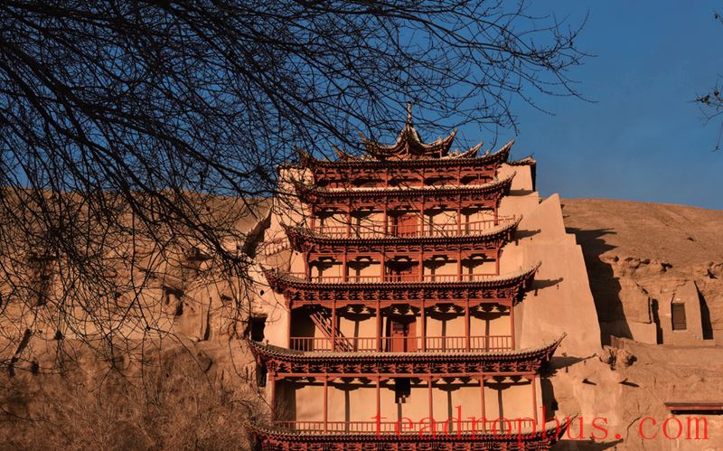 The Vast Desert and the Dunhuang Tea Journey-2