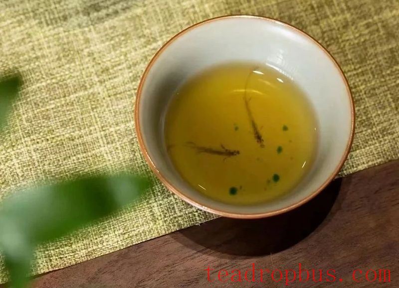 Have You Had Tea After Recovering from COVID-19? How to Drink Tea During Recovery?-1