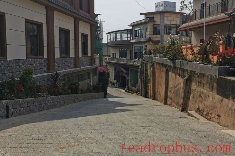 Lao Banzhang: Green Waters and Green Mountains Pave the Path to Happiness; Civilized Tea Village Welcomes a New Life-5