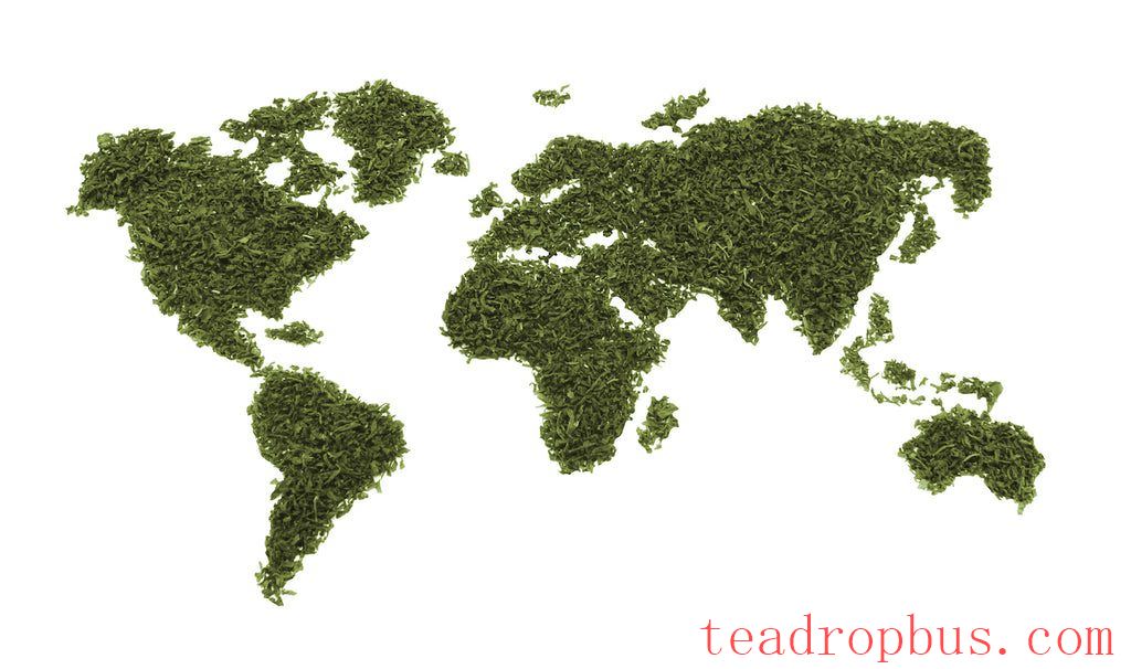 Why is tea called tea?-1