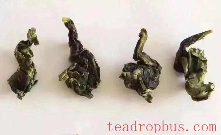 How to Appraise Tieguanyin?-2
