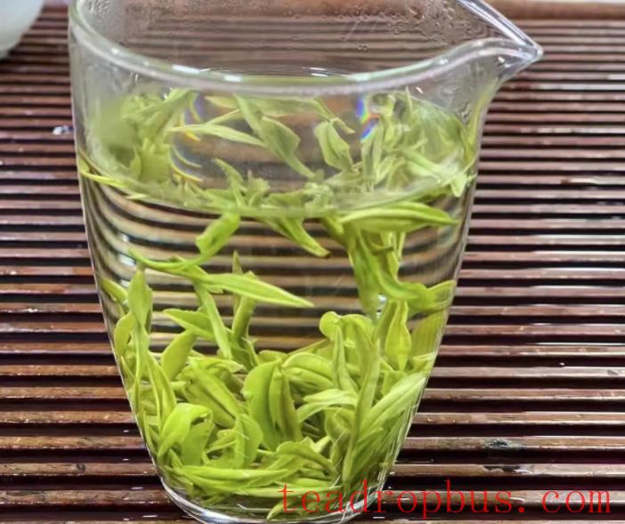 How to Brew Green Tea for Best Taste and the Health Benefits of Drinking Green Tea-2