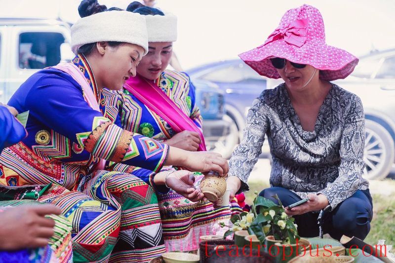 He Kai Ancient Tea Mountain: Experiencing the Natural Beauty and Legendary Charm of China's Premier Pu'er Tea Mountain-12
