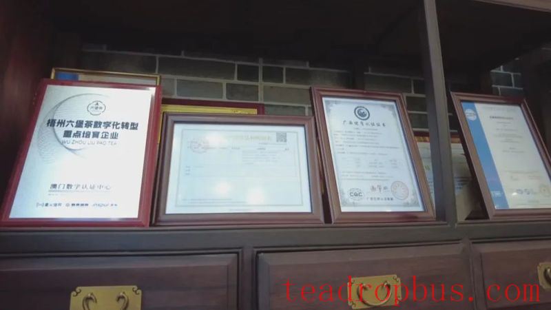 Cultivating Small and Micro Tea Enterprises to Advance the Growth of Liubao Tea Industry-5