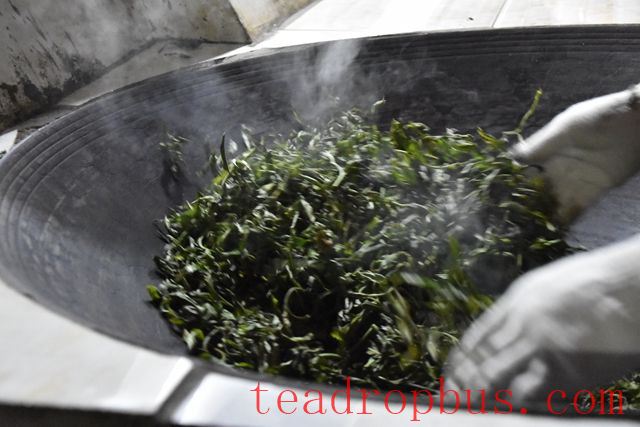 The Main Purpose of Fixation in Pu'er Tea Production-3