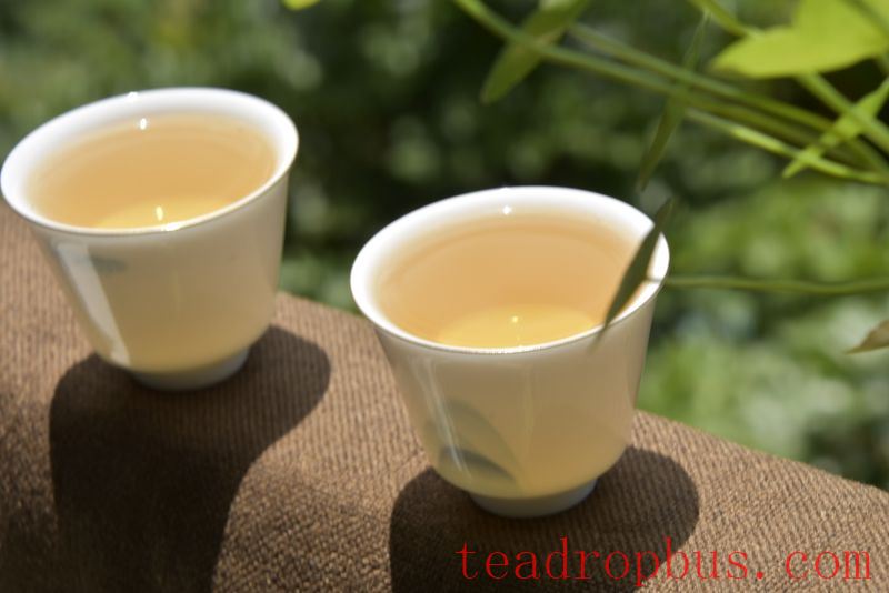 What are the effects of drinking tea daily on the body?-1