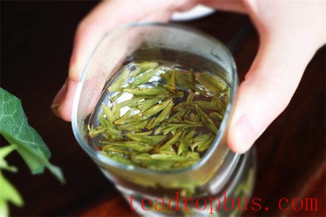 Should Green Tea Be Rinsed? Why Green Tea Doesn't Need to Be Rinsed-3
