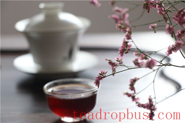 What Tea Should You Drink in Autumn for Optimal Health?-1