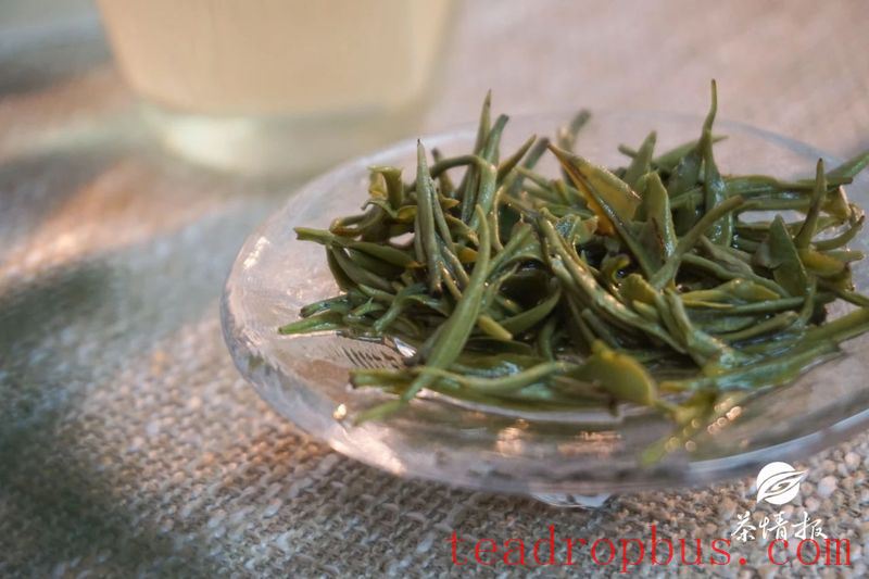 Good Tea Requires Good Water – Let's Skip the Third Kind-5