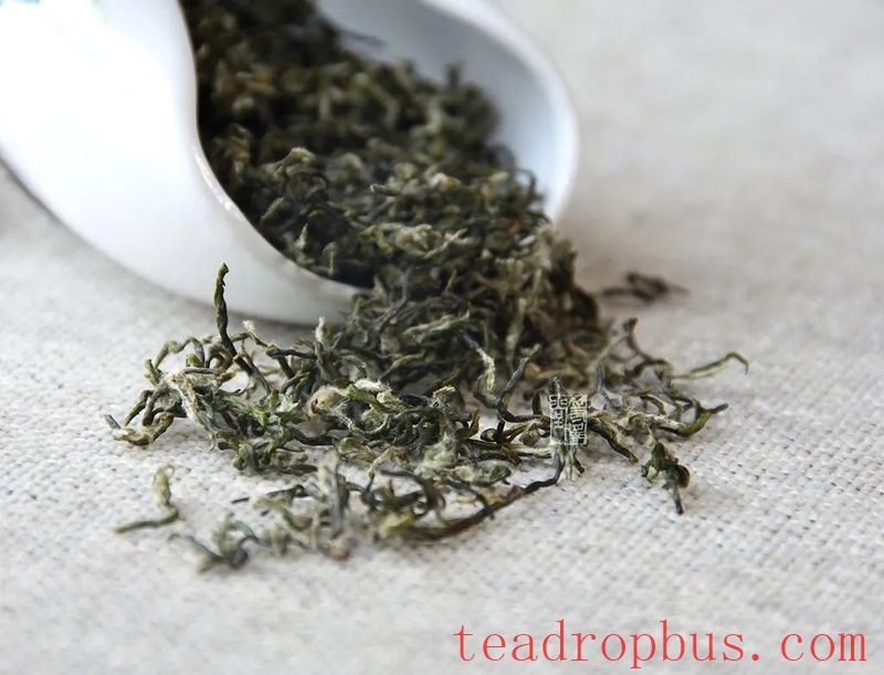 Green Tea is Best Enjoyed Fresh – Instead of Worrying About the Expiry Date, Learn How to Store It Properly!-4