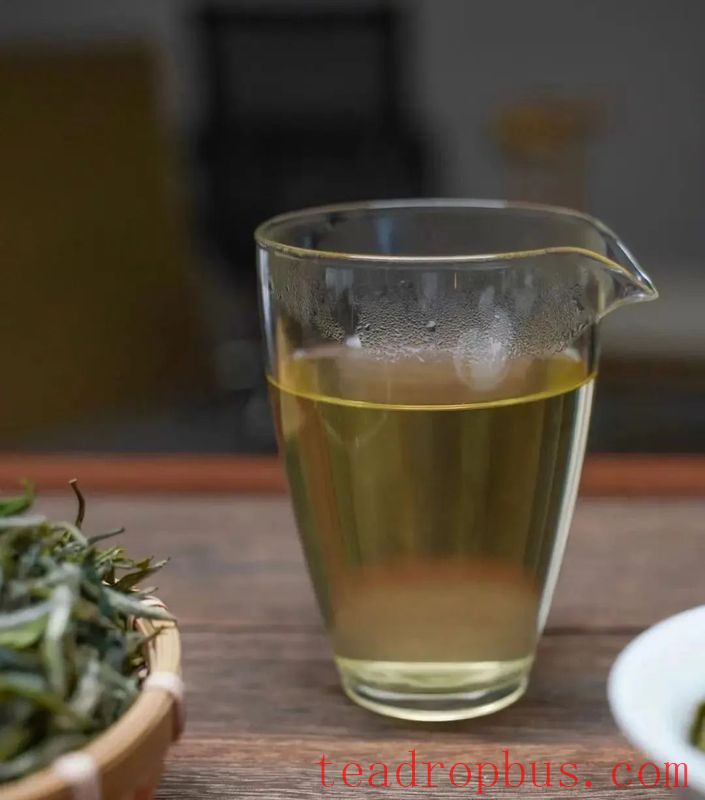 What's the Difference Between Brewing and Boiling White Tea?-3