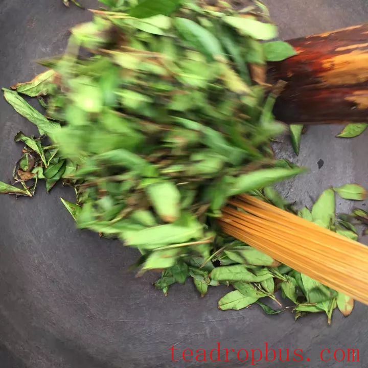 Anxi Tieguanyin: A Cup of Autumn Tea and the Stories Behind It-4
