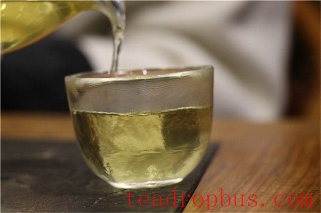 Mengku Great Snow Mountain: The Birthplace of Tea Trees and a Paradise for Flora and Fauna-3