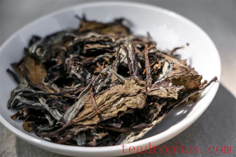 A Winter Must-Haves Tea List: Sip Your Way Through a Cozy Winter-4