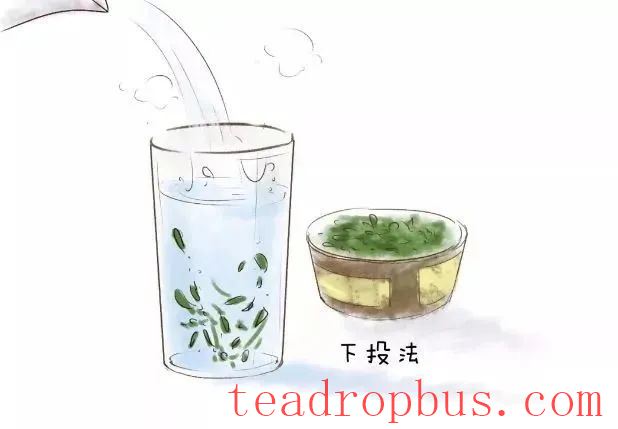 To Bring Out the True Flavor of Green Tea, These Details Are Essential!-4