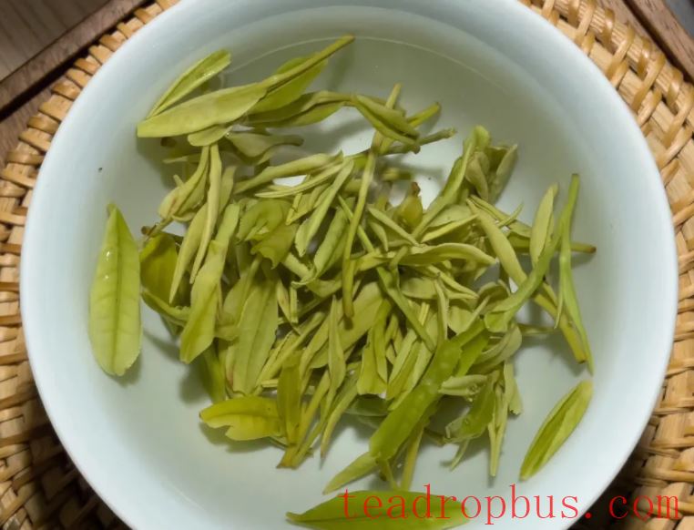 What is the Suitable Water Temperature for Brewing Golden Bud Tea?-2