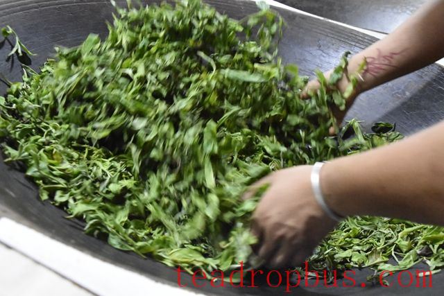 How is Dragon Ball Tea Made?-2