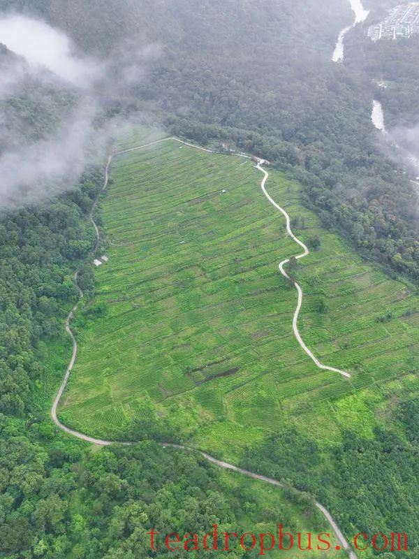 Tea and Tibet: The Philosophy of Life and Economic Potential in a Cup of Tea-4